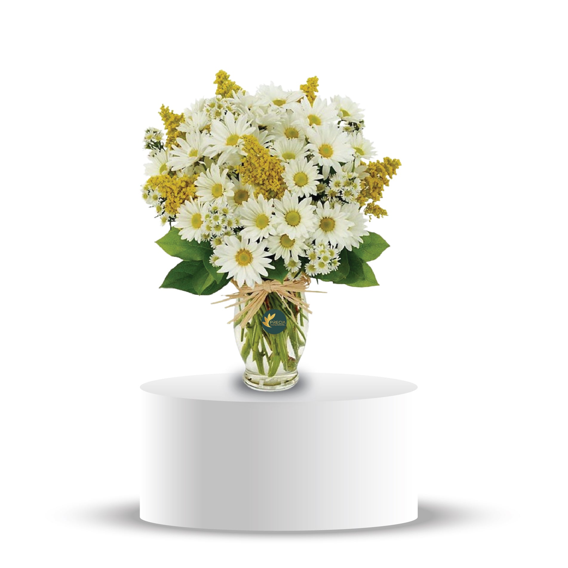 Daisy Delight – Precia Flowers