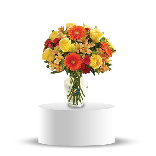 Sunshine – Precia Flowers