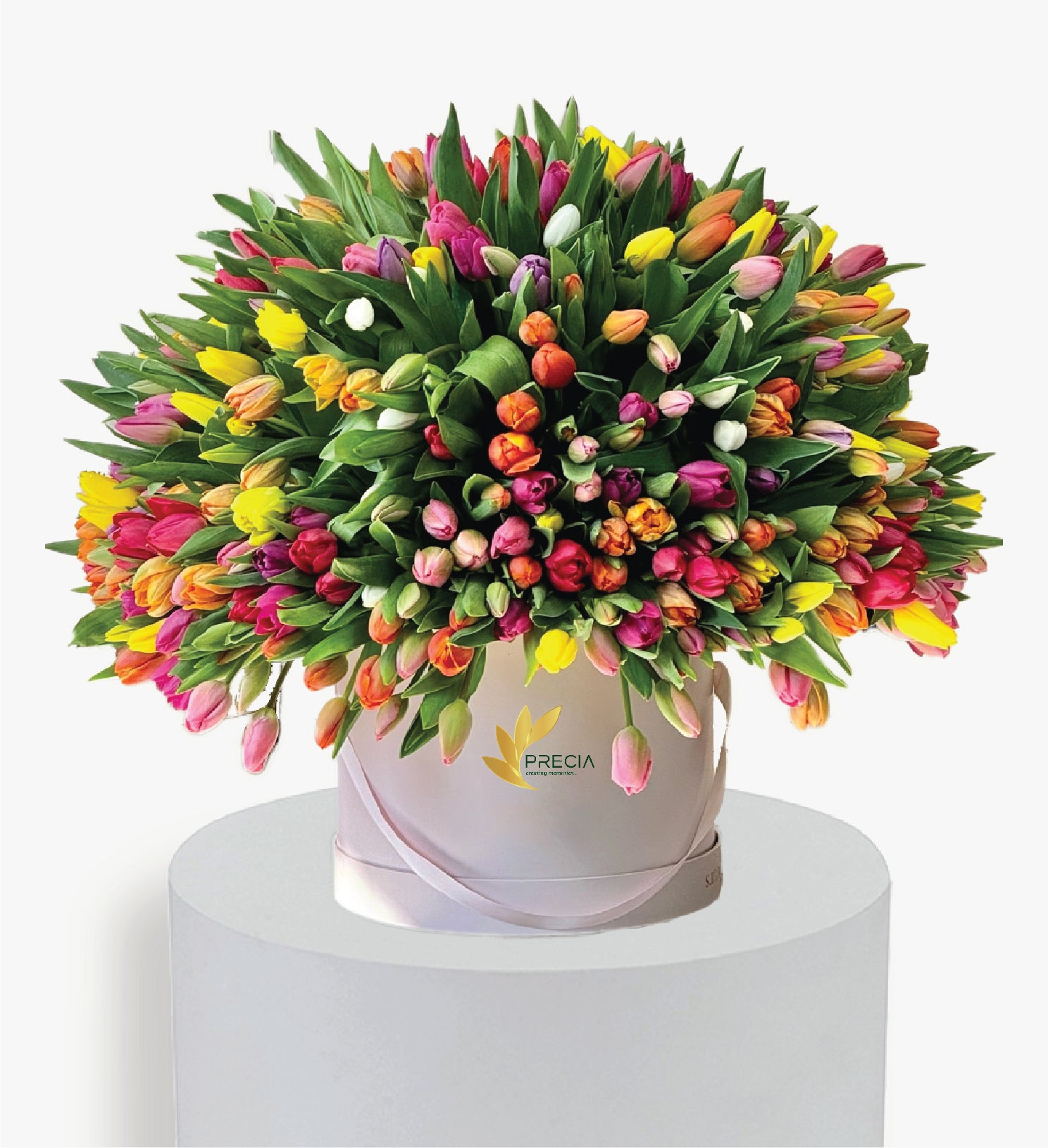 300 Tulips for Spring