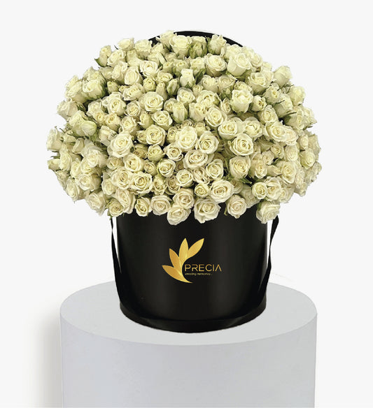 White Baby Rose Box