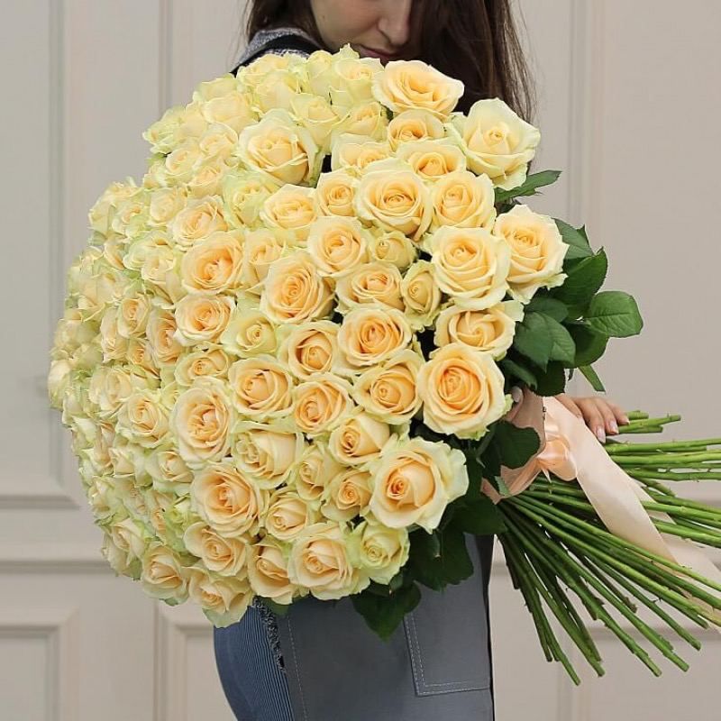 101 Peach Roses Flowers