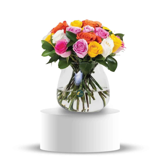 Just 24 Multicolor Roses