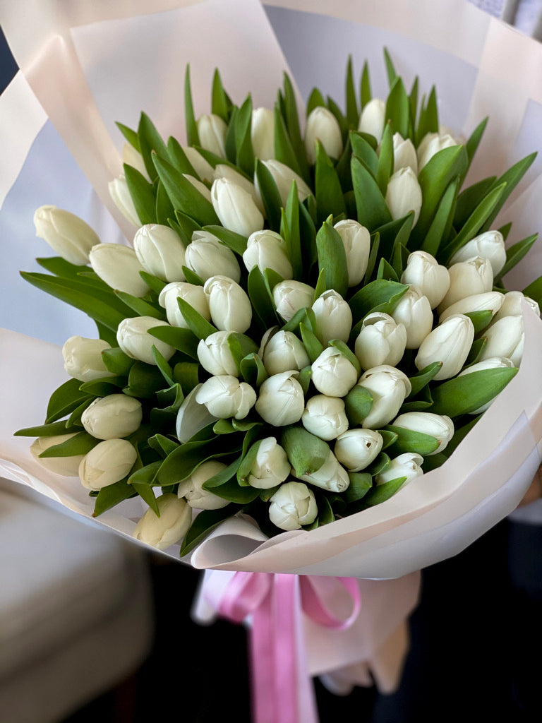 49 White Tulips