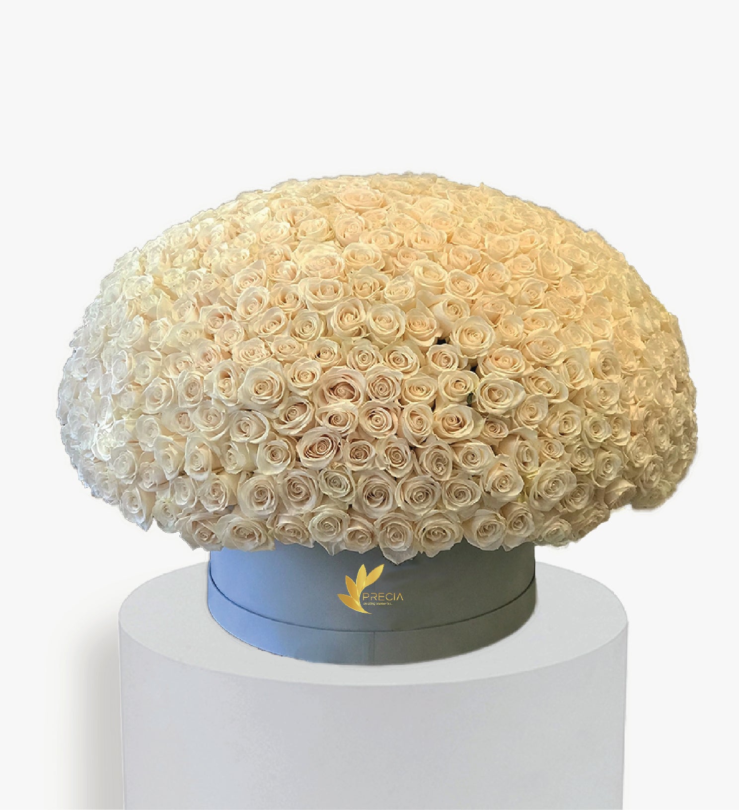 Grandiose 300 White Rose Box