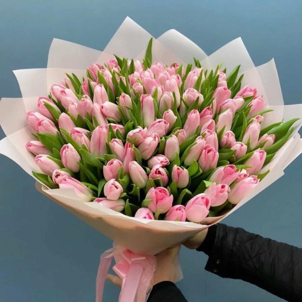 Pink Tulips Flowers