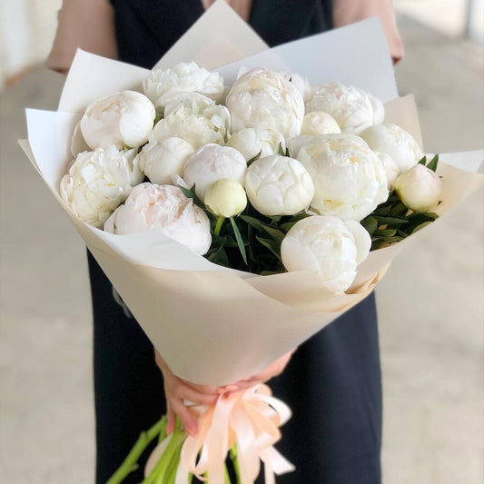 15 White Peonies