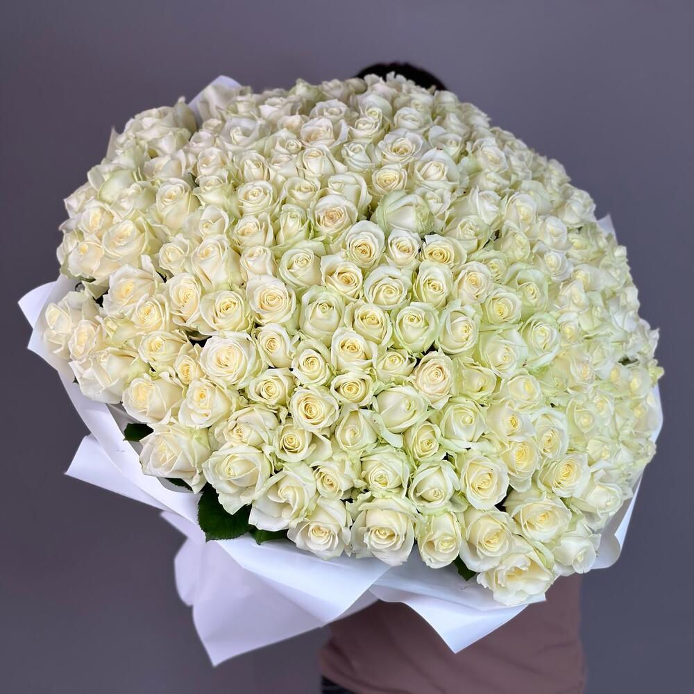 Ocean White Roses Pearl Of The Ocean – Precia Flowers | White Roses & Love