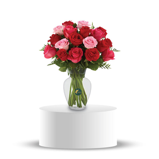 A fresh arrangement of pink and red roses in a vase.