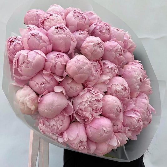 30 Pink Peonies